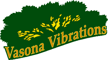 Vasona Vibrations